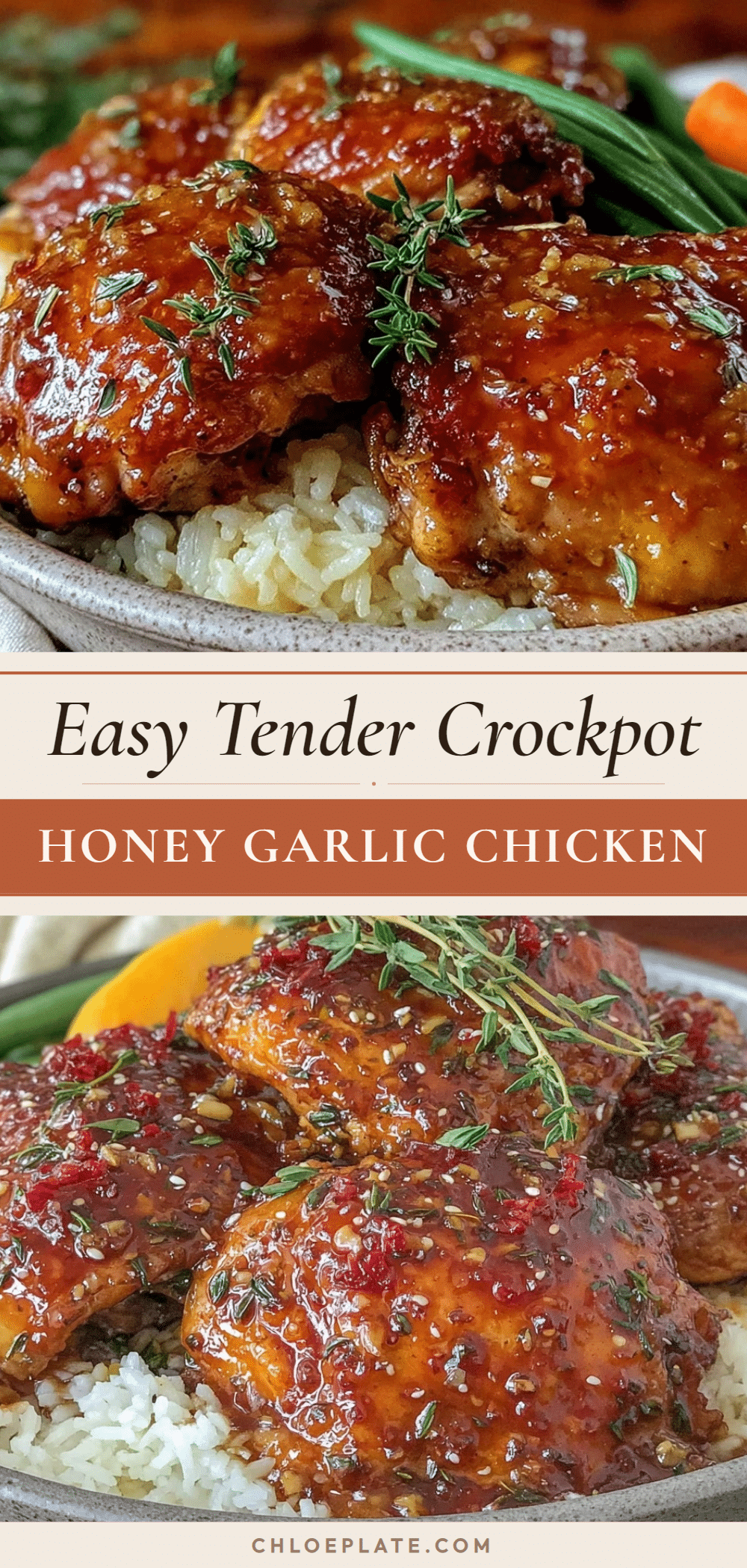 easy tender crockpot honey garlic chicken recipe