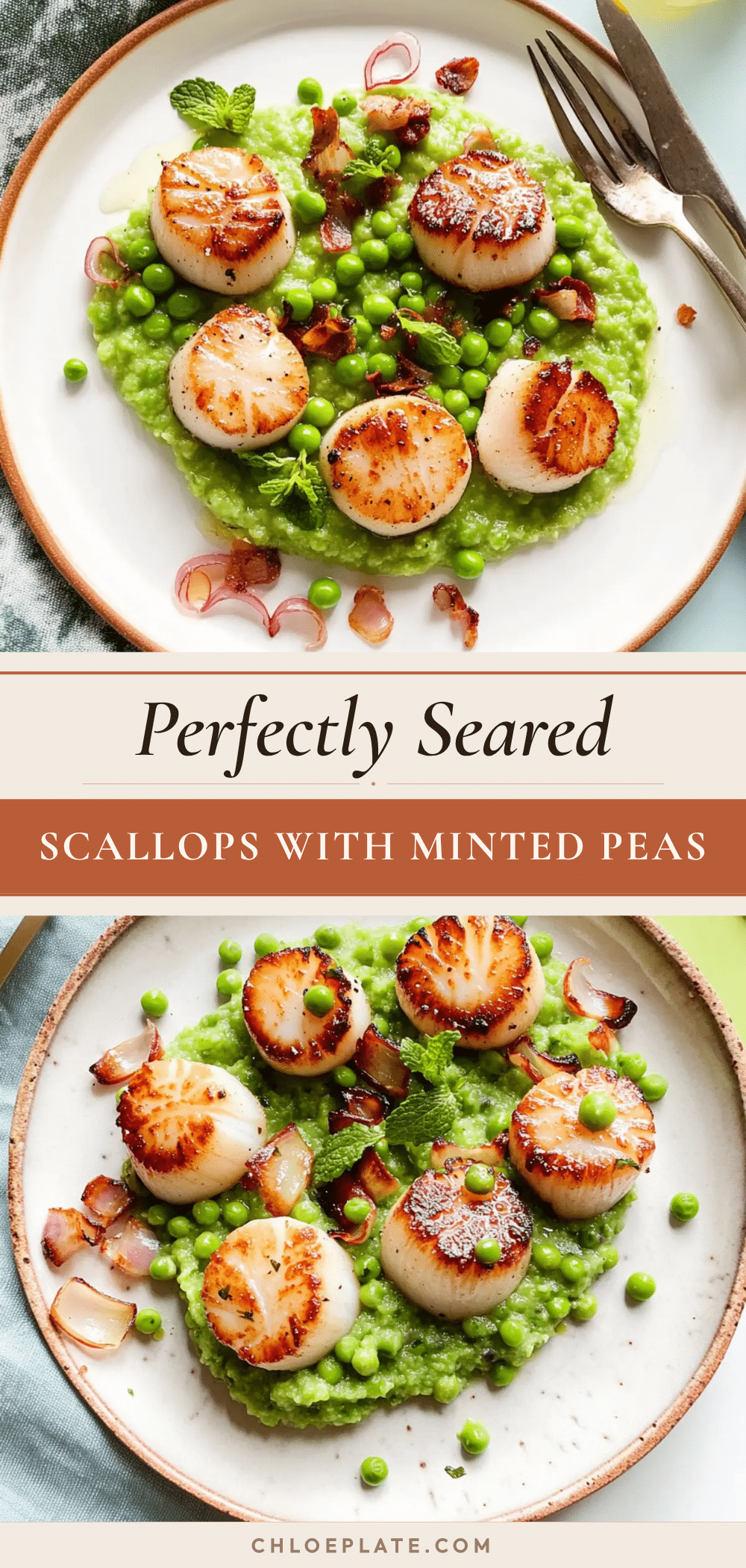 savory seared scallops recipe