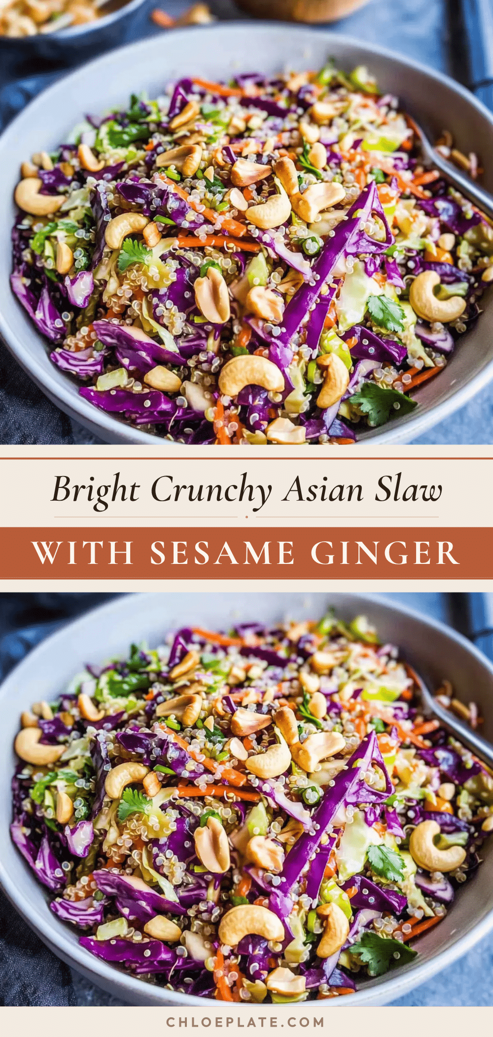 Asian slaw with sesame ginger dressing recipe