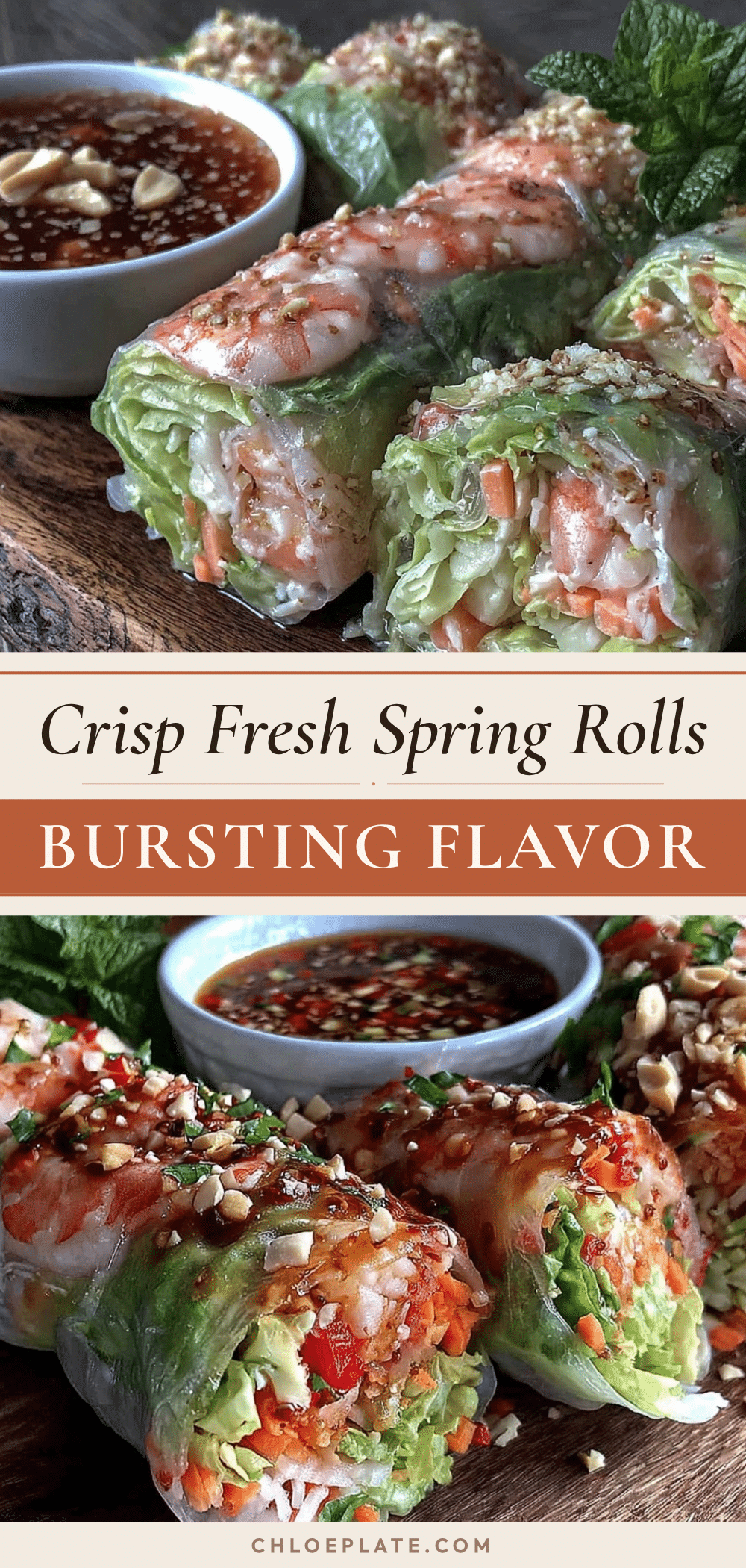 fresh crisp spring rolls recipe recipe