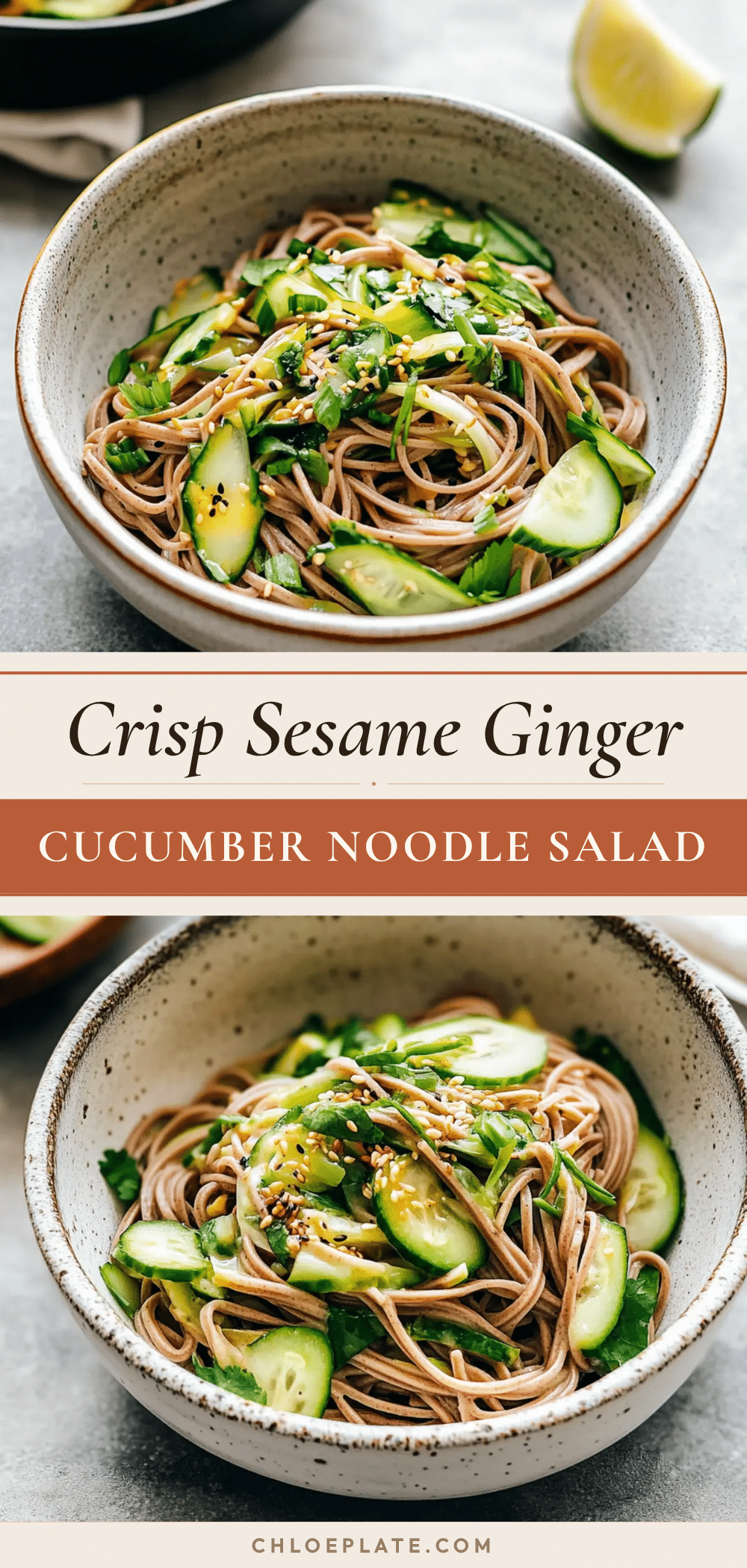 fresh sesame-ginger cucumber noodle salad recipe