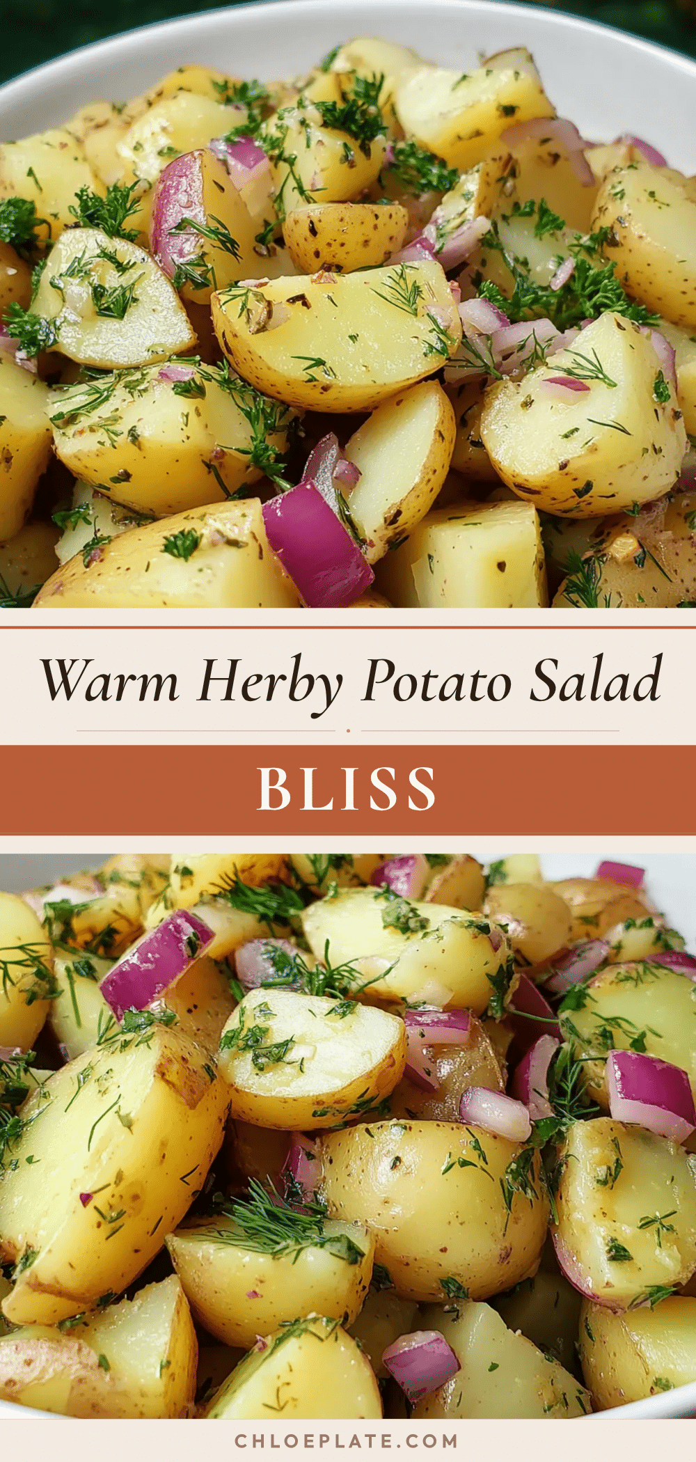 fresh warm herby potato salad recipe