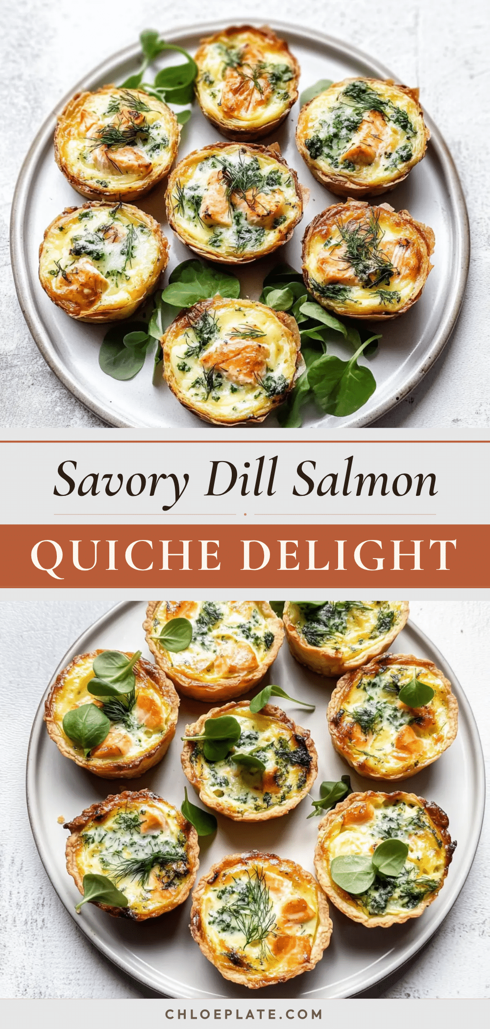savory dill salmon quiche recipe