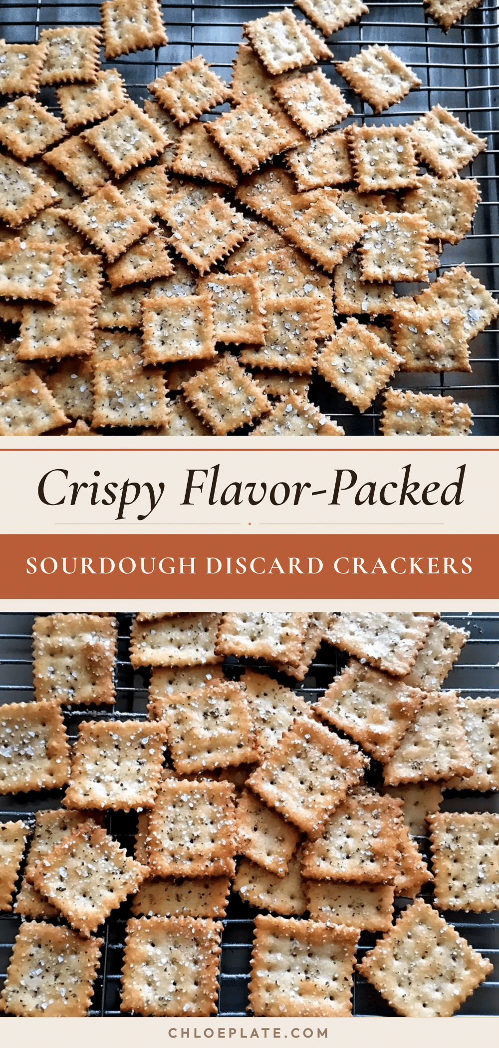 crispy sourdough discard crackers recipe