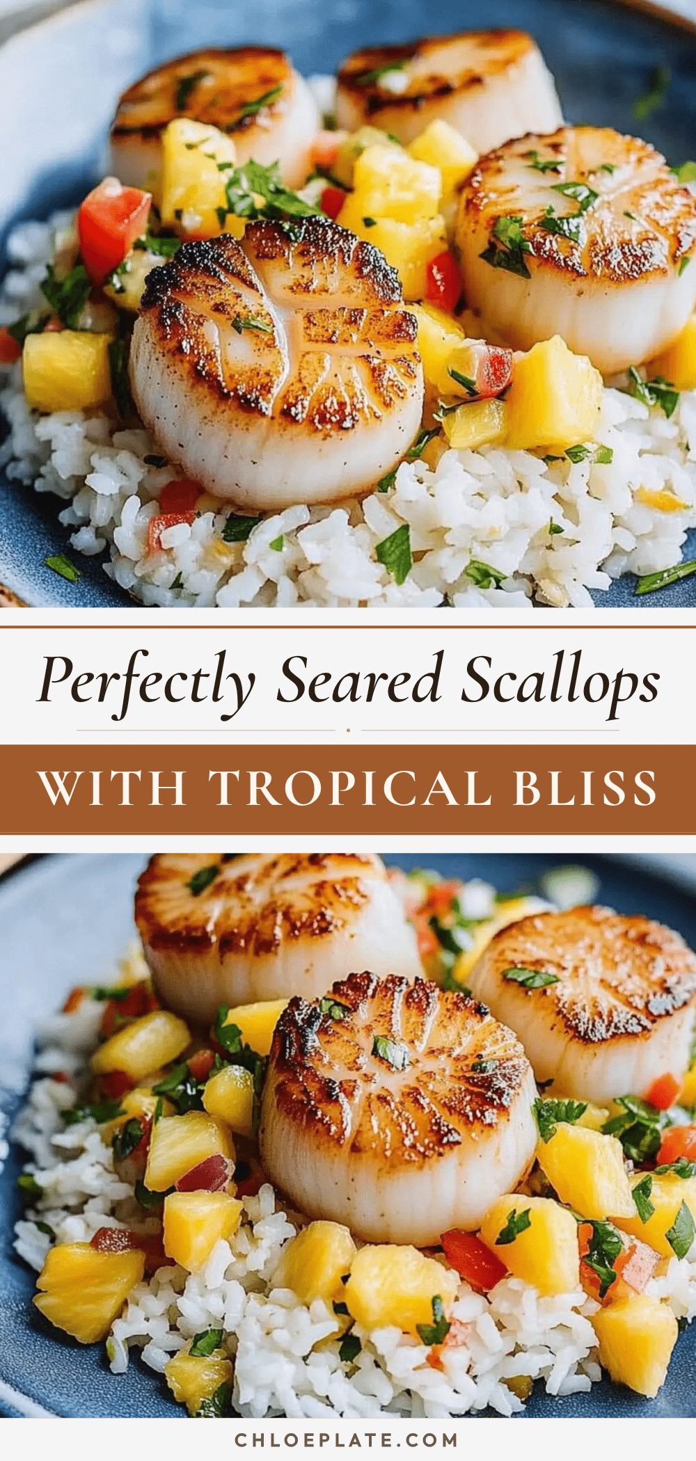 perfect seared scallops recipe