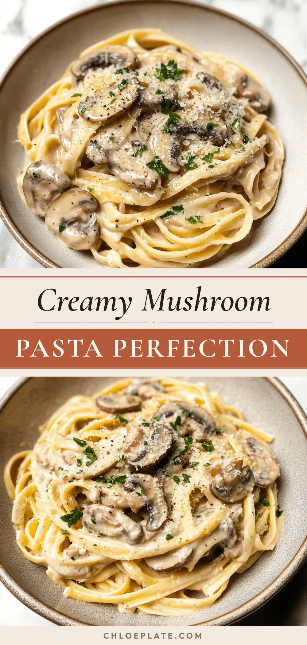 creamy mushroom pasta recipe