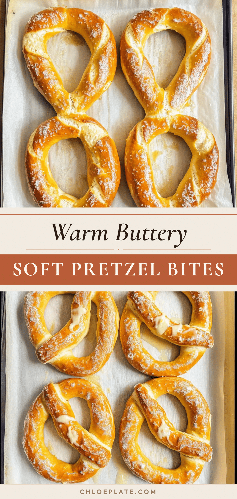 homemade soft pretzel recipe recipe