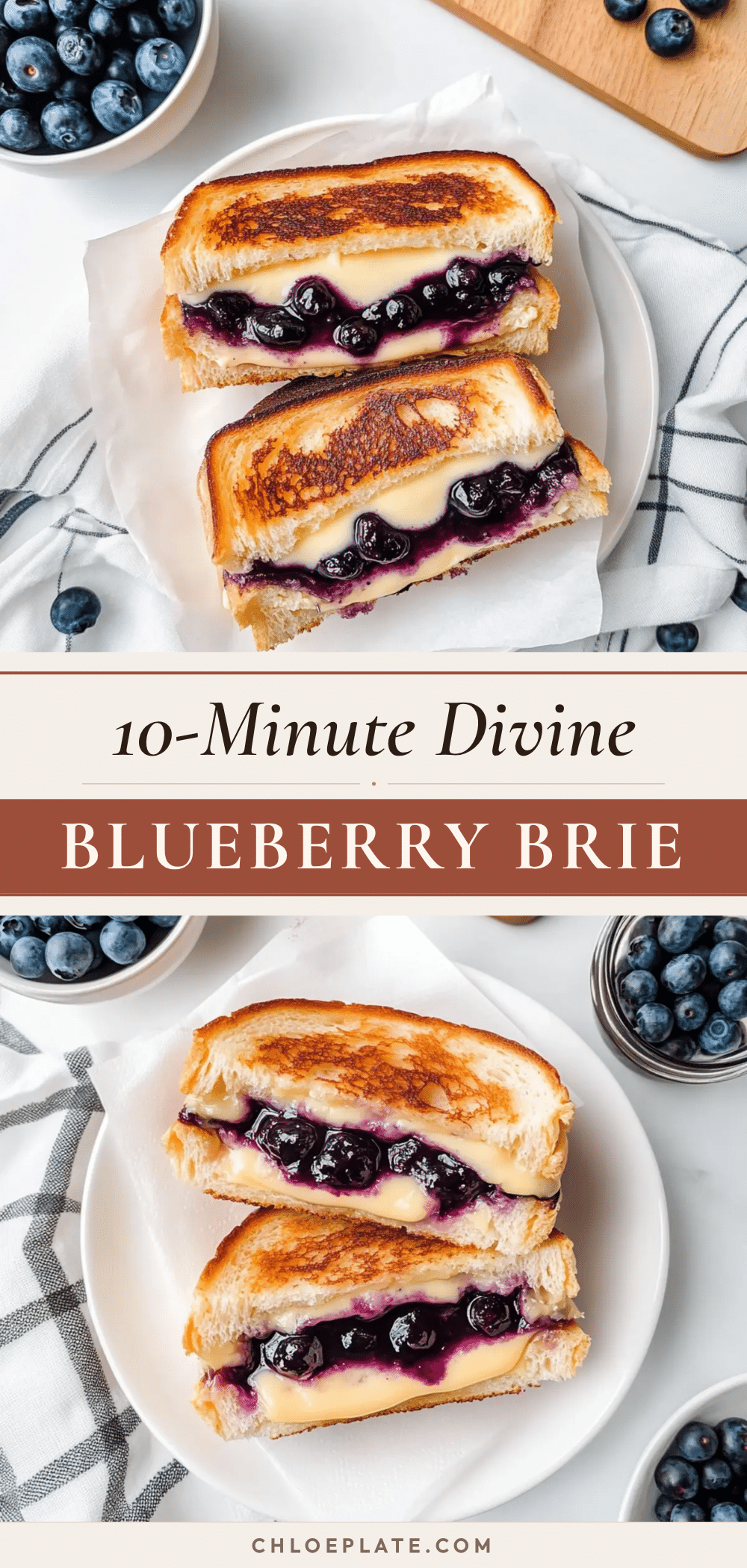 blueberry brie grilled cheese recipe