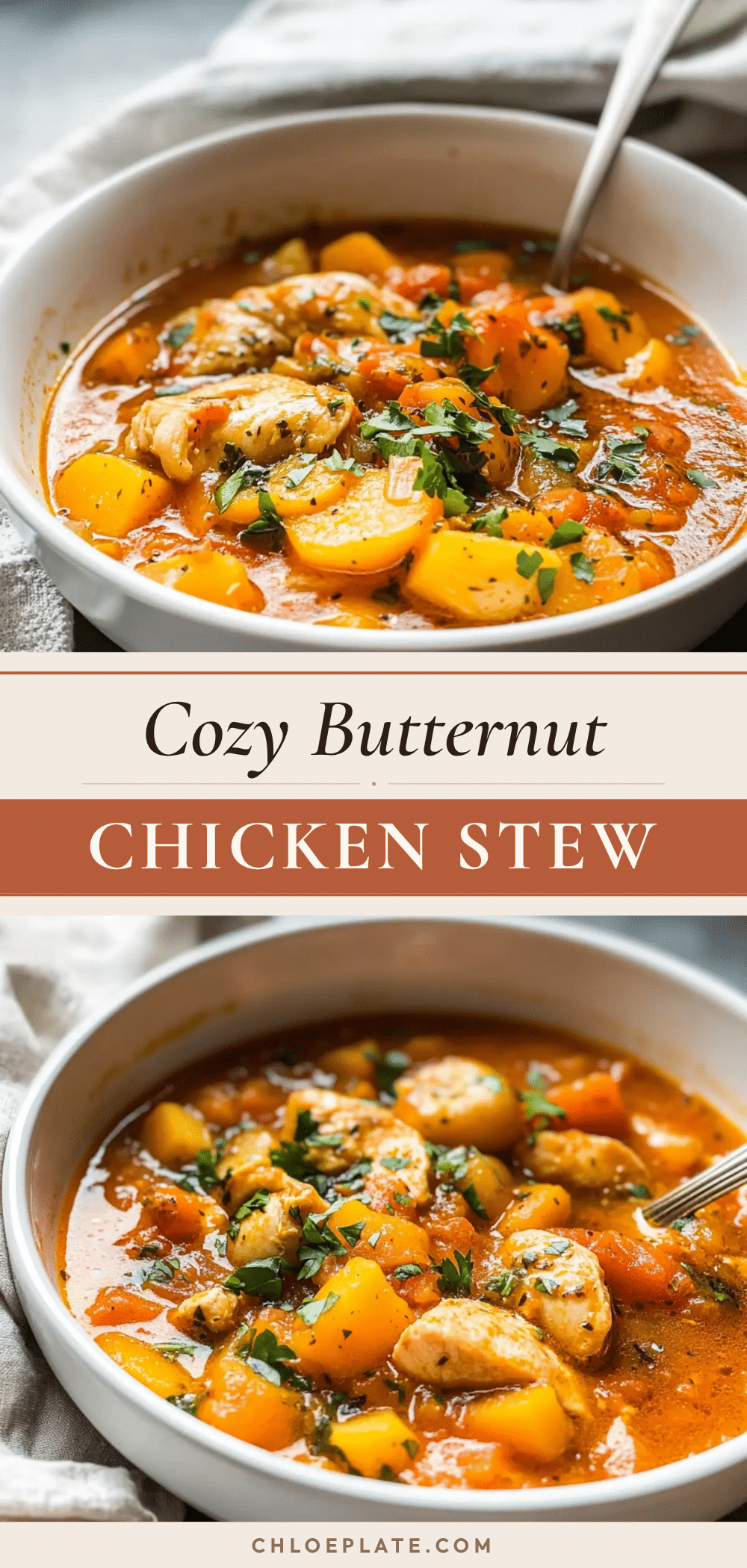 chicken stew with butternut squash recipe