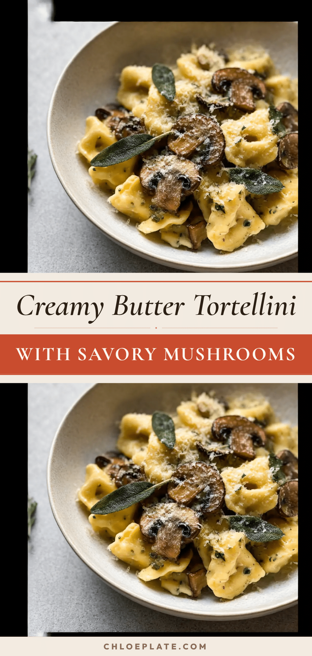 creamy cheese tortellini with butter and savory mushrooms recipe