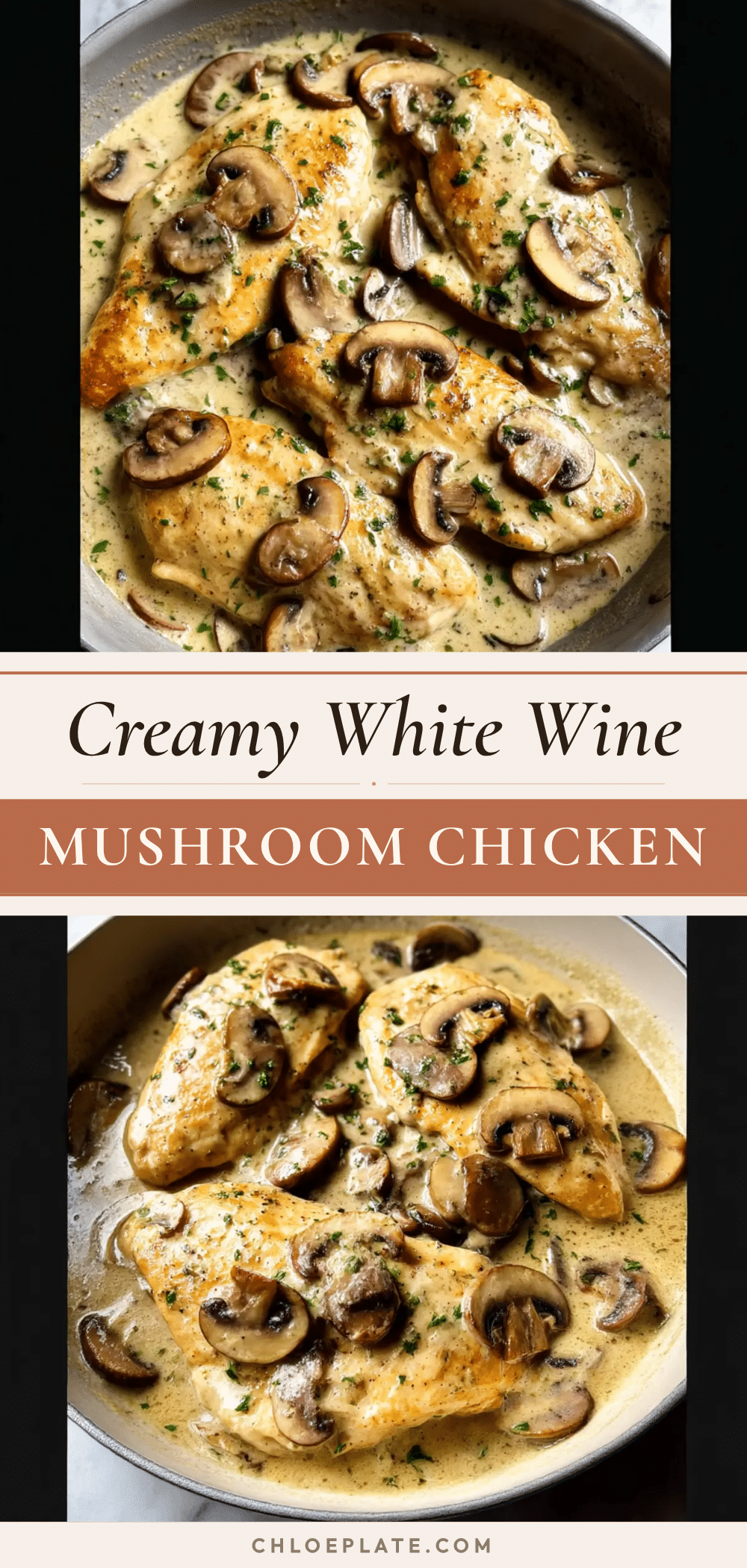 creamy white wine mushroom chicken recipe