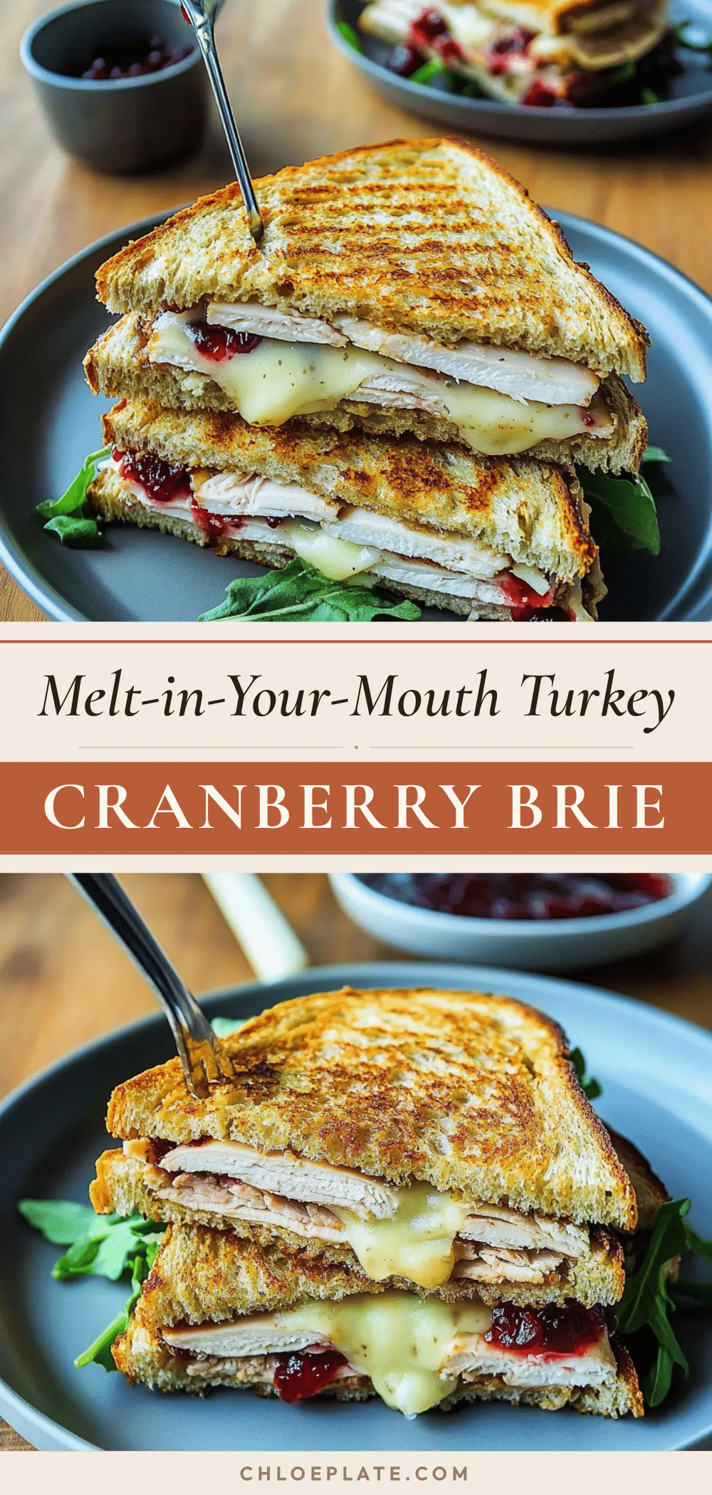 turkey cranberry brie sandwich recipe